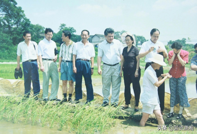 海利集團(tuán),長(zhǎng)沙殺蟲劑,長(zhǎng)沙光氣衍生物,長(zhǎng)沙氨基酸保護(hù)劑,長(zhǎng)沙鋰離子電池材料