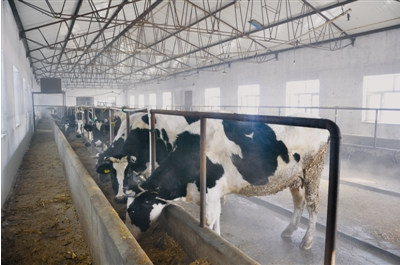 黑龍江齊齊哈爾富?？h光明乳業(yè) 一拖三加一 恒壓供水設備